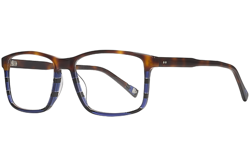 Ecaille & Bleu