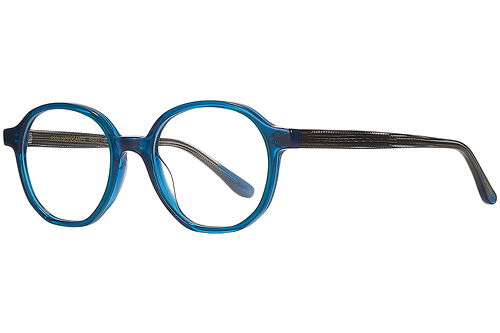 Bleu & Branche Graphique