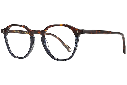 Ecaille & Détails Graphique